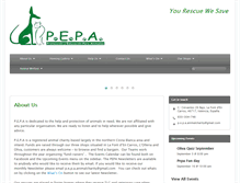Tablet Screenshot of pepaspain.com